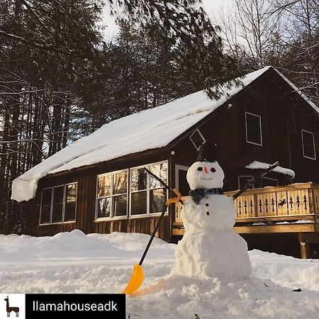 Llama House Adk Wevertown Eksteriør billede
